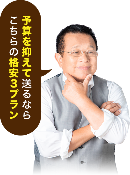 予算を抑えて送るならこちらの格安3プラン
